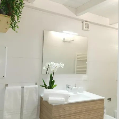 Radici - Centro Storico Lecce